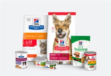 A grouping of Hill’s products including dry food, wet food, and treats.