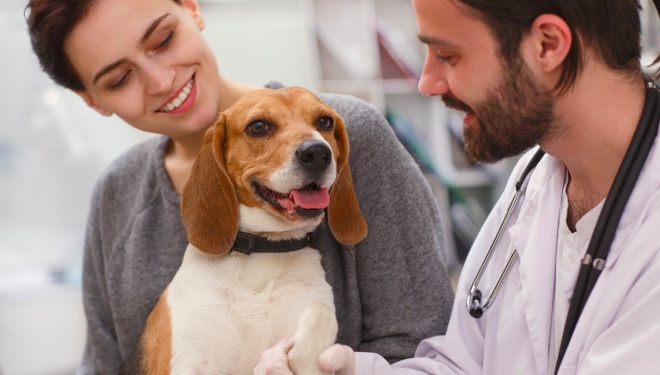 A pet parent and a dog with a veterinarian